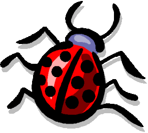Ladybug-ladybugs-15392303-406-364